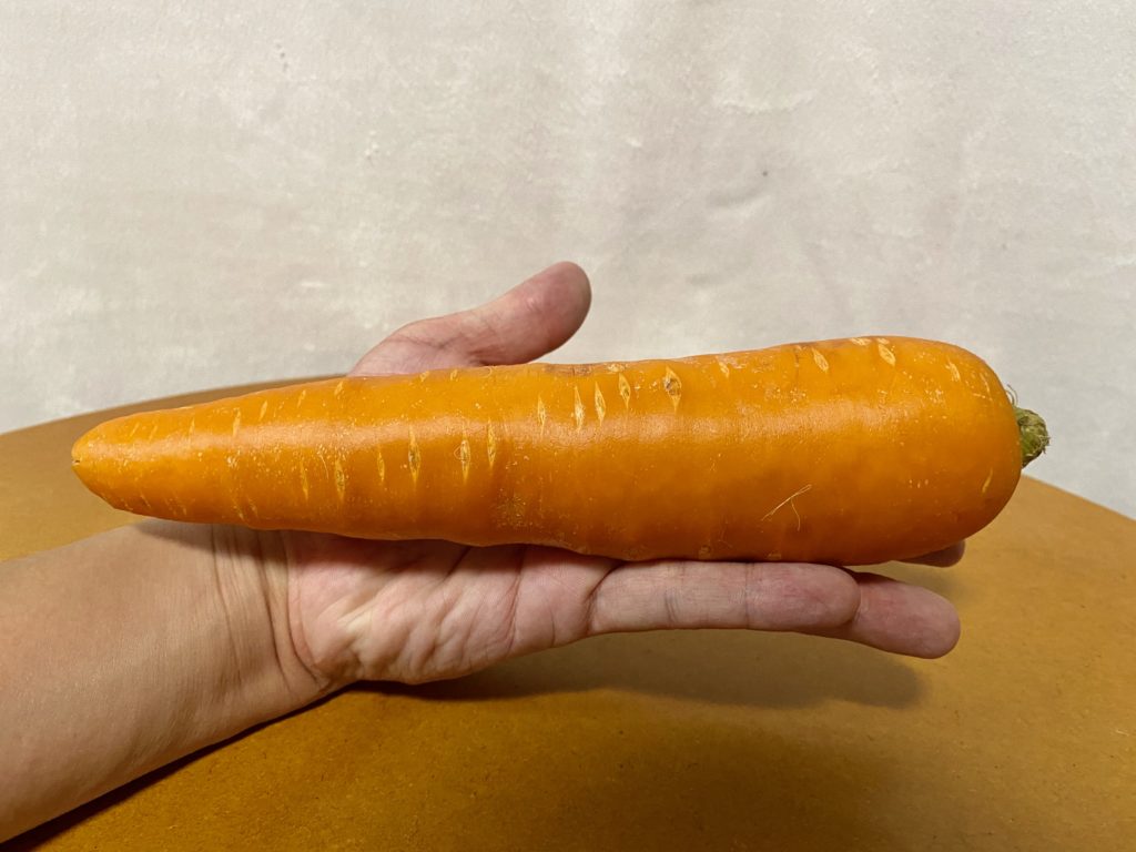 らでぃっしゅぼーや　にんじん　大きさ